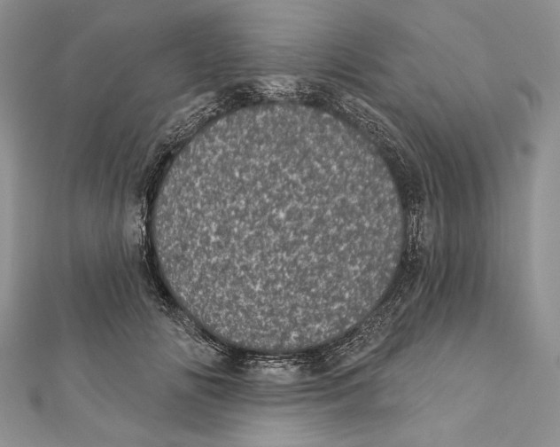 X0000111870702200908201217