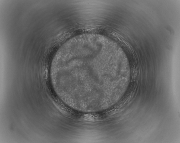 X0000111870703200908201217