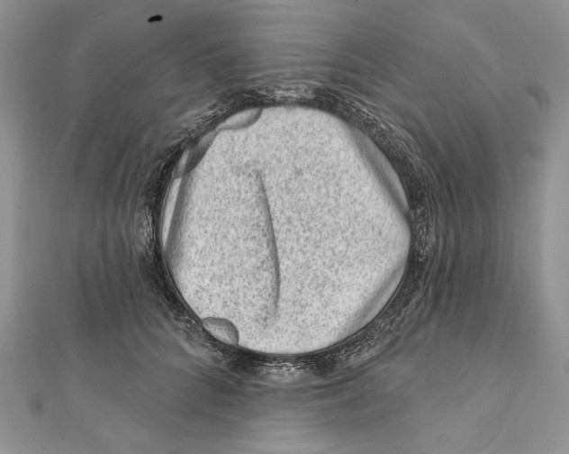 X0000111870704200908201217