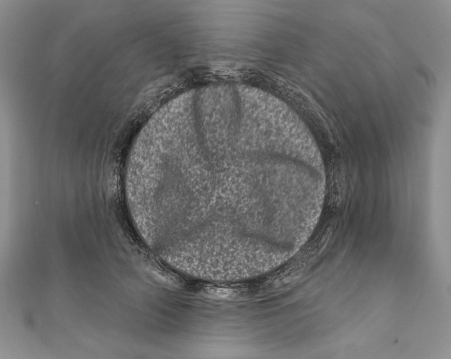 X0000111870706200908201217