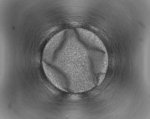 X0000111870710200908201217