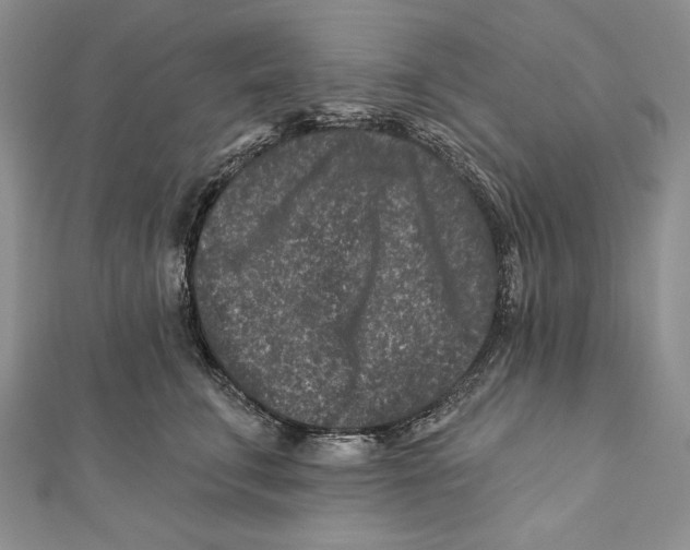 X0000111870711200908201217