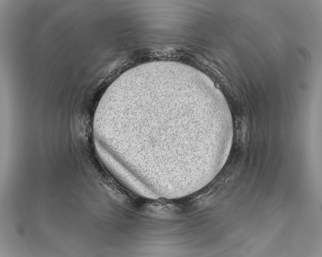 X0000111870712200908201217