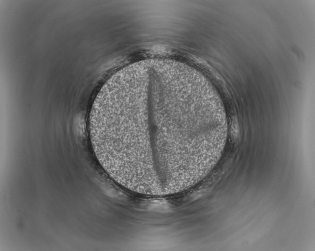 X0000111870715200908201217