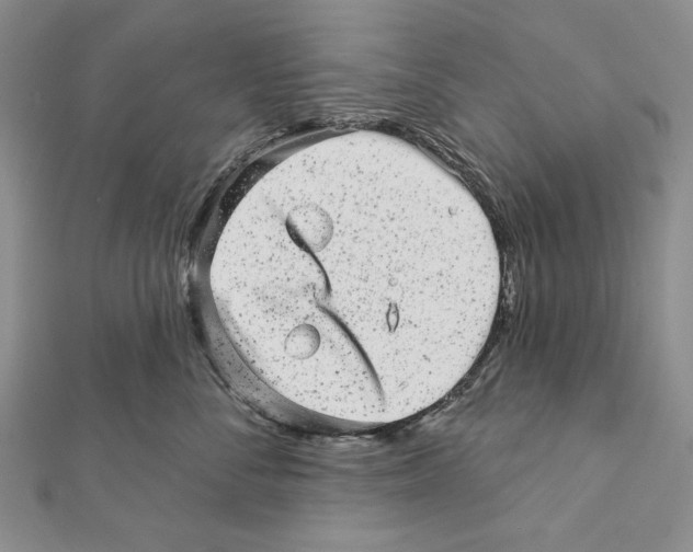 X0000111870716200908201217