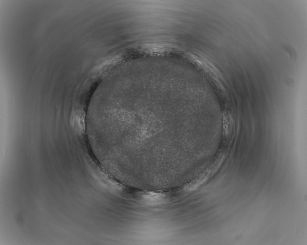 X0000111870718200908201217