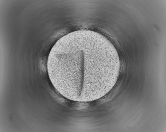 X0000111870719200908201217