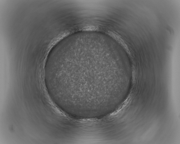 X0000111870721200908201216