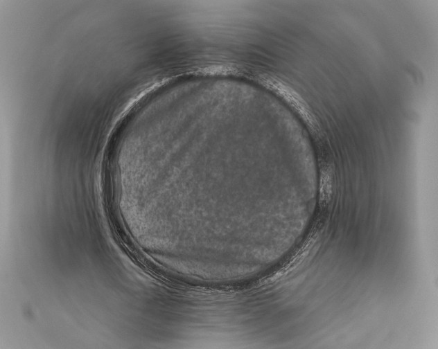 X0000111870722200908201216