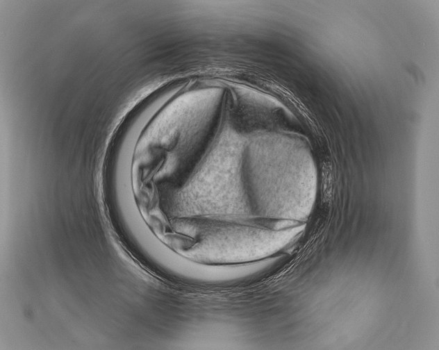 X0000111870726200908201216