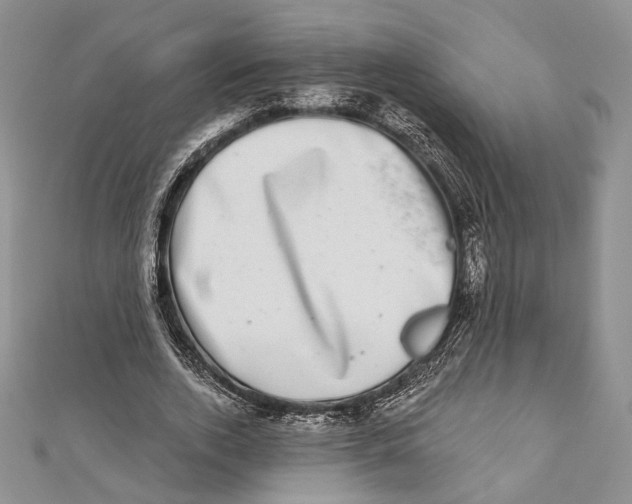 X0000111870728200908201216