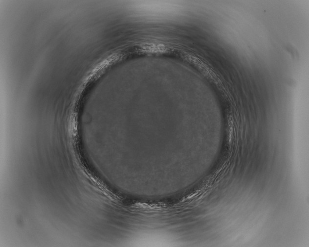 X0000111870731200908201216