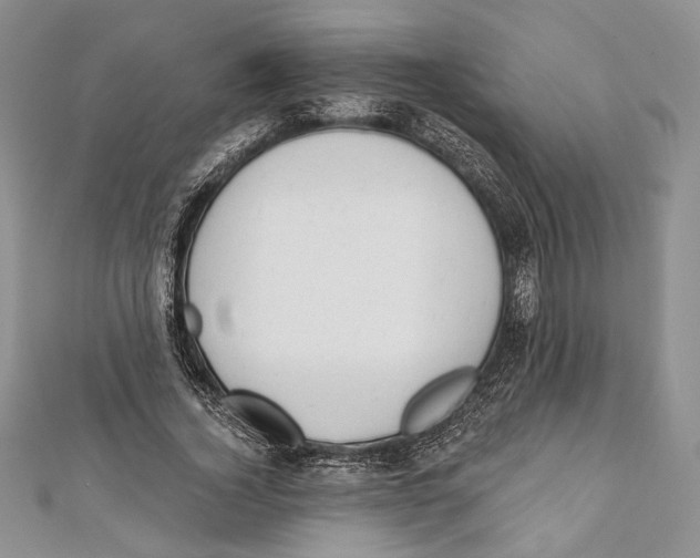 X0000111870732200908201216