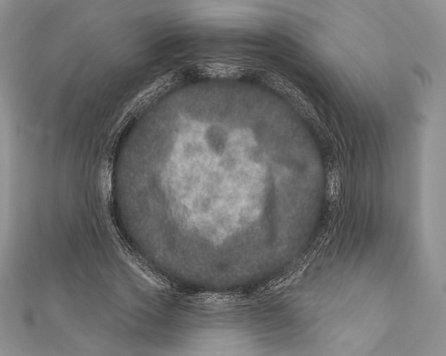 X0000111870733200908201216