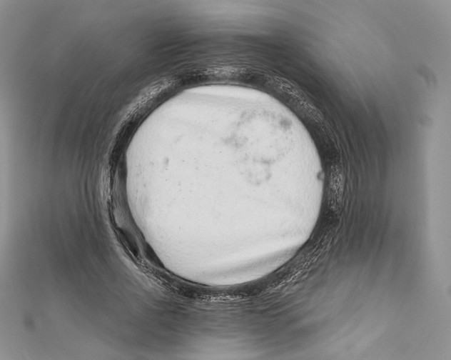 X0000111870734200908201216