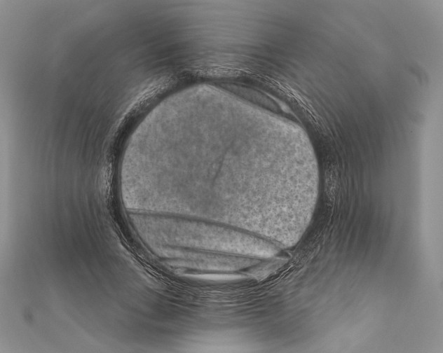 X0000111870735200908201216