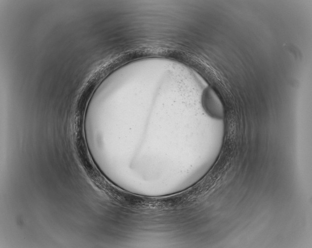 X0000111870736200908201216