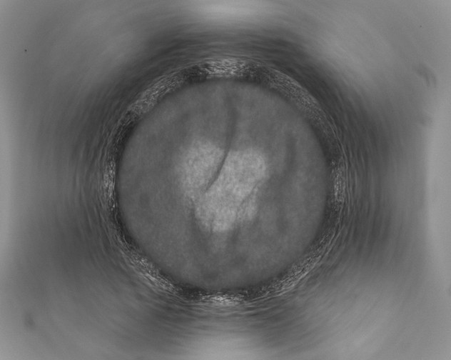 X0000111870737200908201216