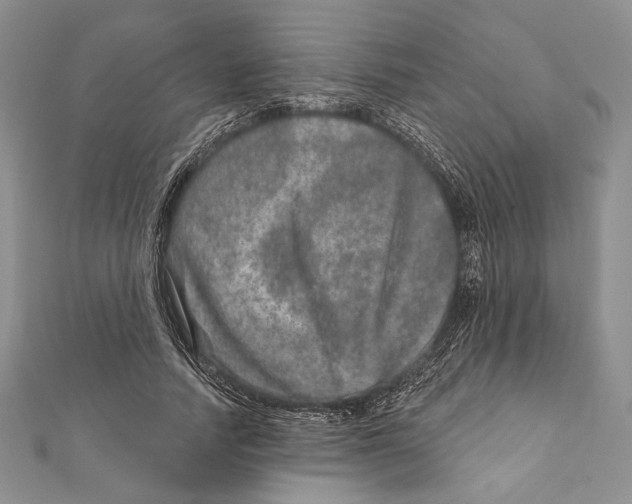 X0000111870738200908201216