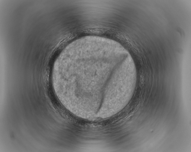 X0000111870739200908201216