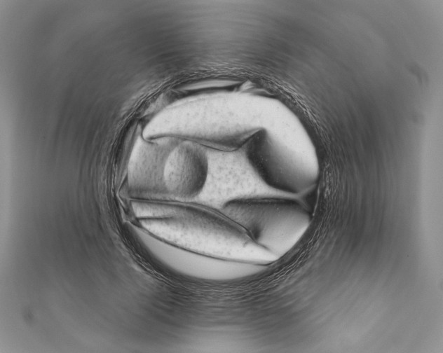 X0000111870740200908201216