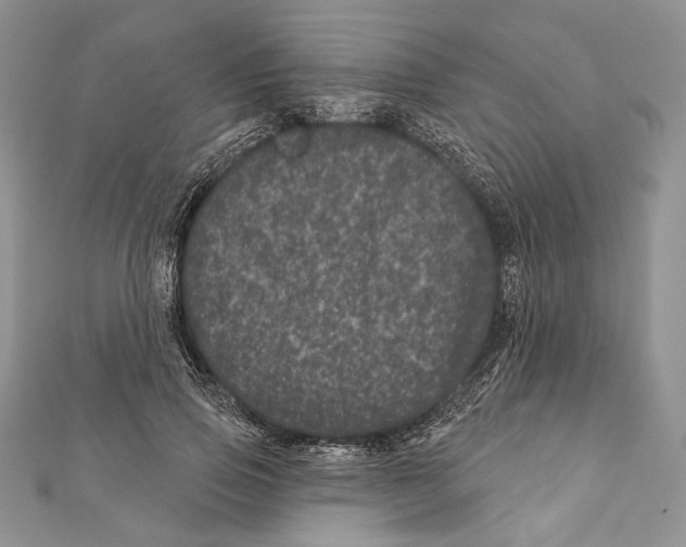 X0000111870741200908201216