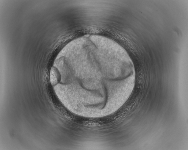 X0000111870743200908201216