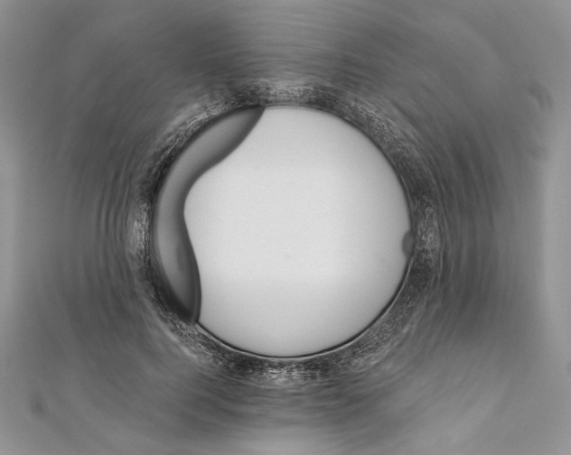 X0000111870744200908201216