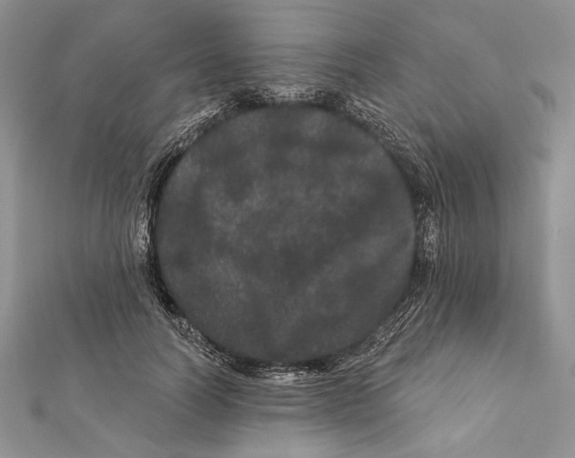 X0000111870746200908201216