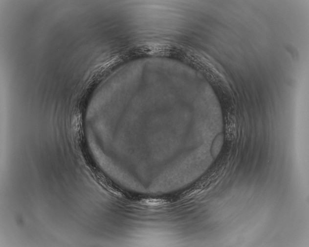 X0000111870748200908201216