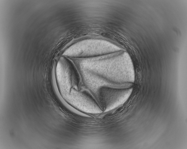 X0000111870750200908201217