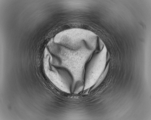 X0000111870751200908201217