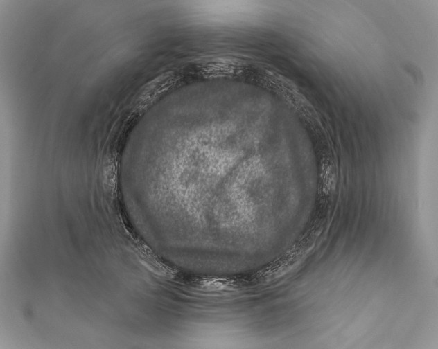 X0000111870753200908201217