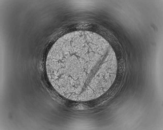 X0000111870755200908201217