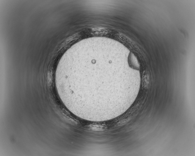 X0000111870756200908201217