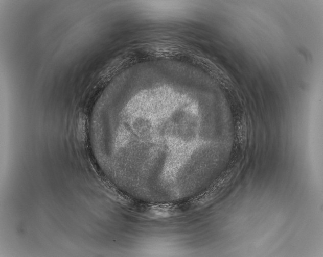 X0000111870757200908201217