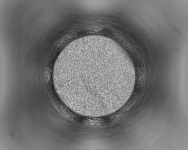 X0000111870758200908201217