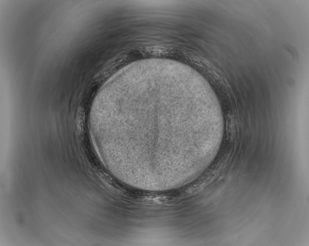 X0000111870760200908201217