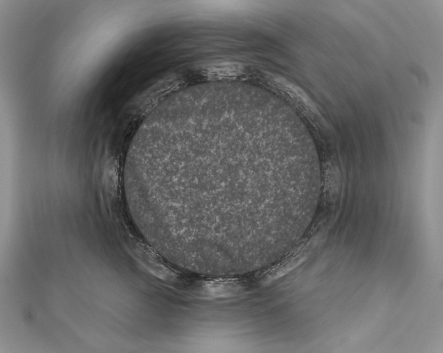 X0000111870761200908201217