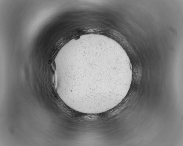 X0000111870762200908201217