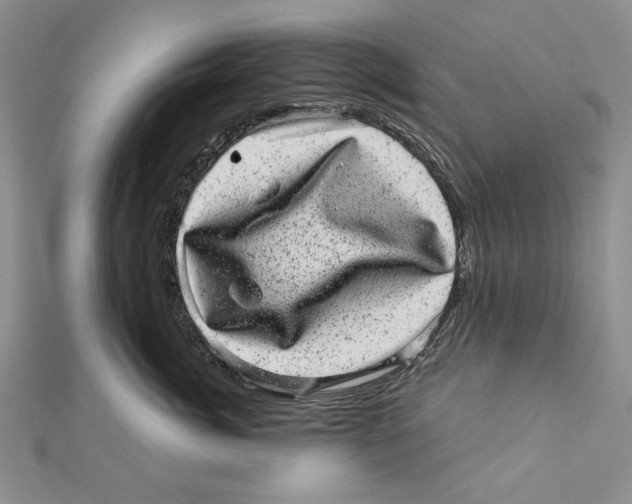 X0000111870764200908201217