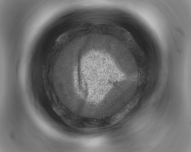 X0000111870765200908201217