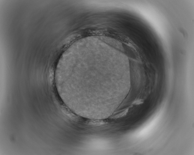 X0000111870767200908201217