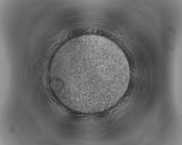 X0000111870769200908201216