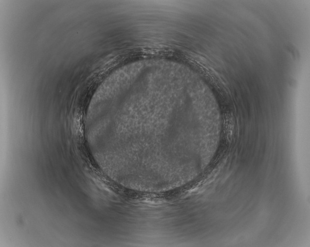 X0000111870770200908201216