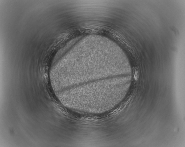 X0000111870771200908201216