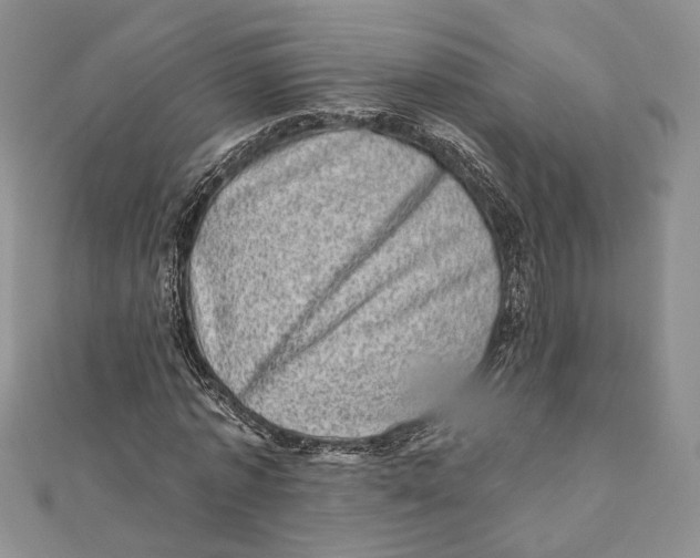 X0000111870773200908201216