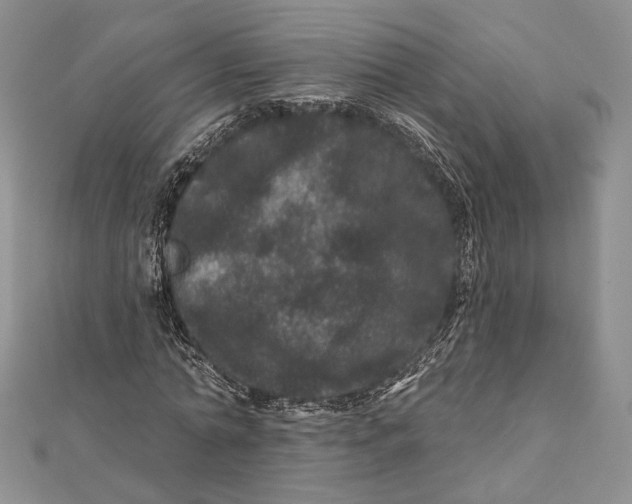 X0000111870774200908201216