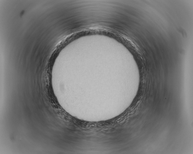 X0000111870776200908201216