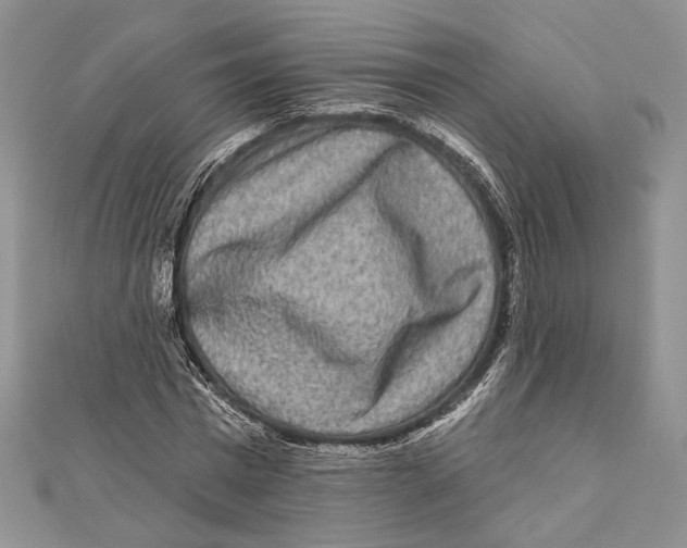 X0000111870777200908201216